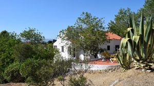 Algarve booking - Casa Alfarrobeira