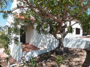 Vakantiewoning te huur Portugal