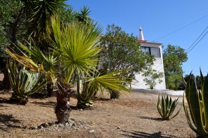 Vakantiehuis Portugal Faro