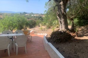 Vakantiewoning schaduwplek